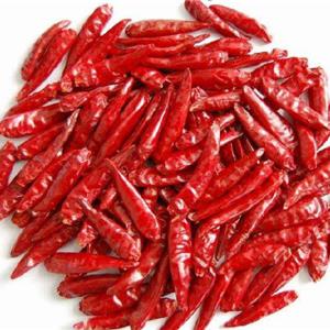 Dried Red Chili