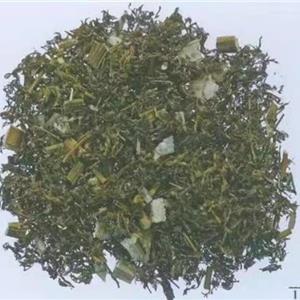 Dried Artemisia annua